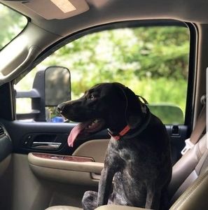 Meet your Posher, Christopher